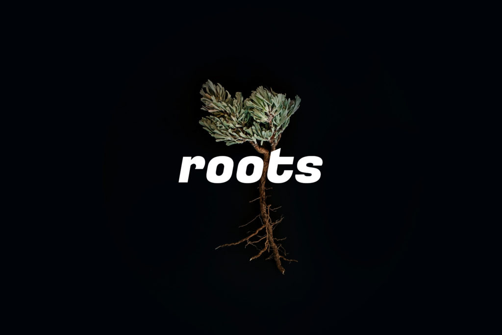 「roots」のイメージ