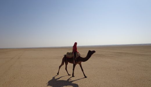 インドのタール砂漠